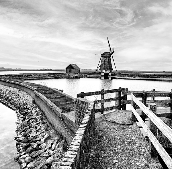 Texel, eiland van vogels en natuur